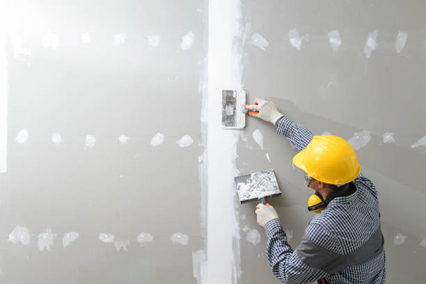 Best Mold Removal for HVAC Installations  in Troy, TN