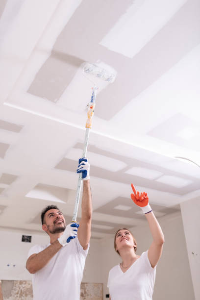 Best Mold Odor Removal Services  in Troy, TN